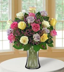 18 Pastel Roses – Open Blooms Chantilly, Chantilly VA
