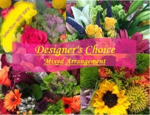 Designer's Choice - Multi-Color - Regular – Open Blooms Chantilly, Chantilly VA