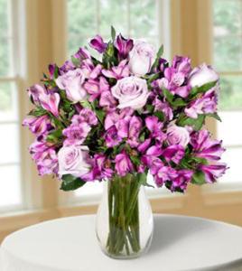 Twilight Lavender Skies - Great