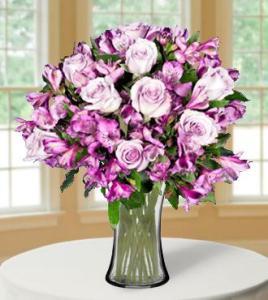 Twilight Lavender Skies - Greater