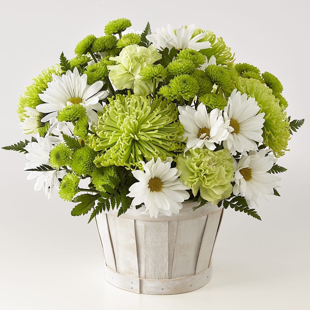 Lucky Charm Basket (Standard) – Open Blooms Chantilly, Chantilly VA