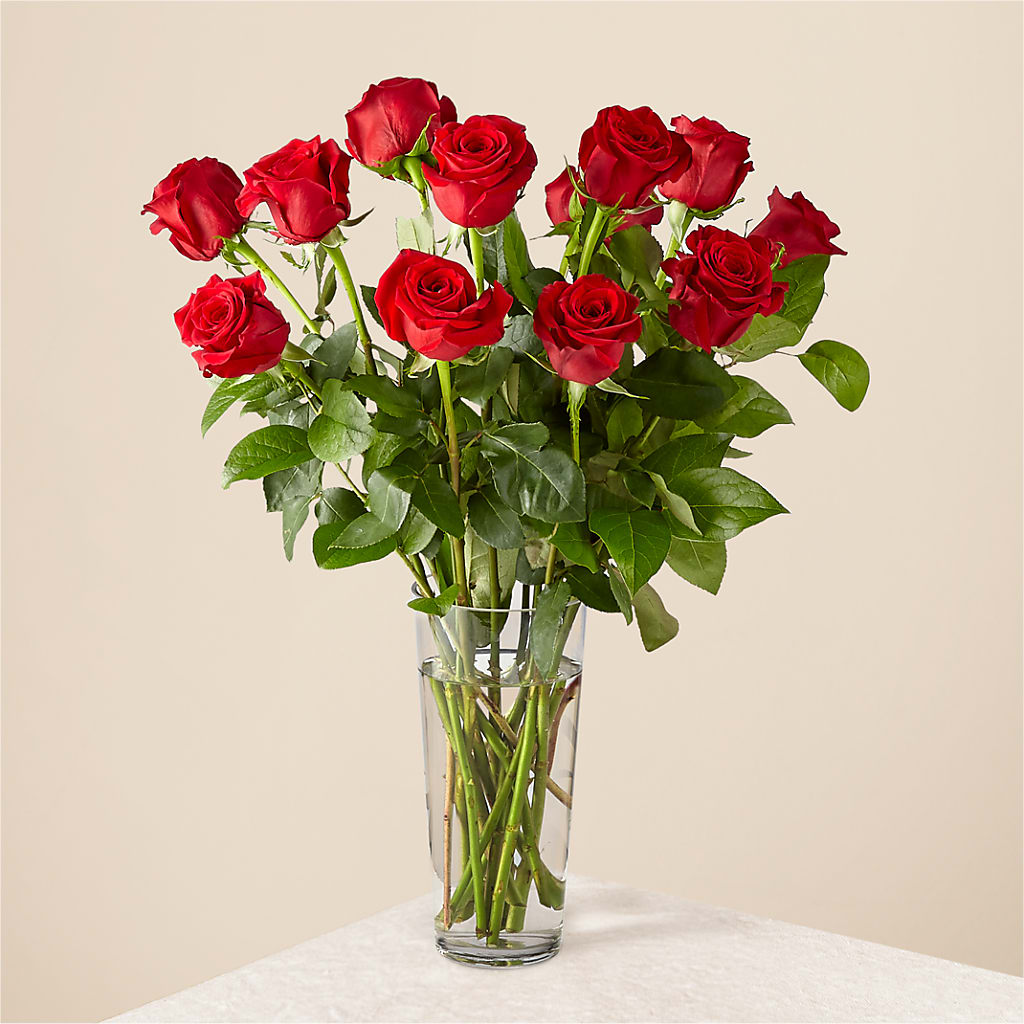 Long Stem Red Rose Bouquet – Open Blooms Chantilly, Chantilly VA