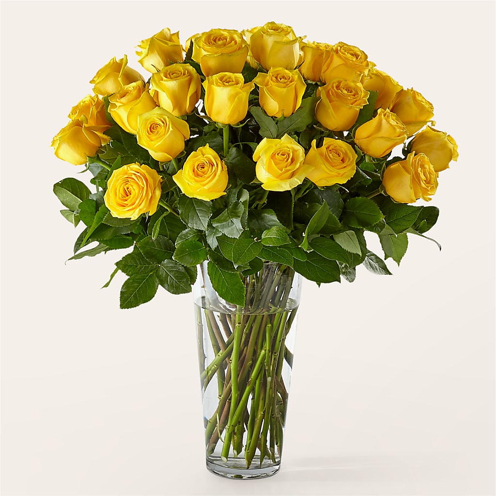 Long Stem Yellow Rose Bouquet – Open Blooms Chantilly, Chantilly VA
