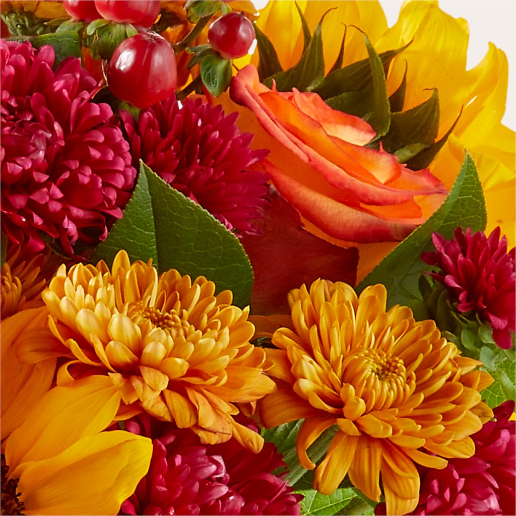 Sweater Season - A Florist Original – Open Blooms Chantilly, Chantilly VA
