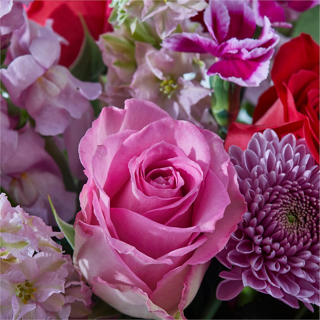 Better Together - A Luxury Florist Original – Open Blooms Chantilly, Chantilly VA