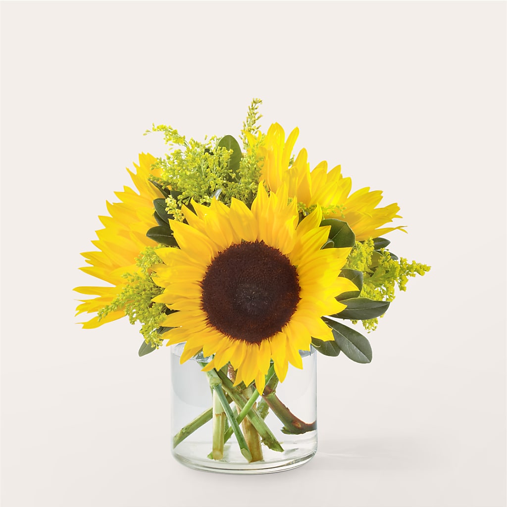 Beaming Sunflower Bouquet – Open Blooms Chantilly, Chantilly VA