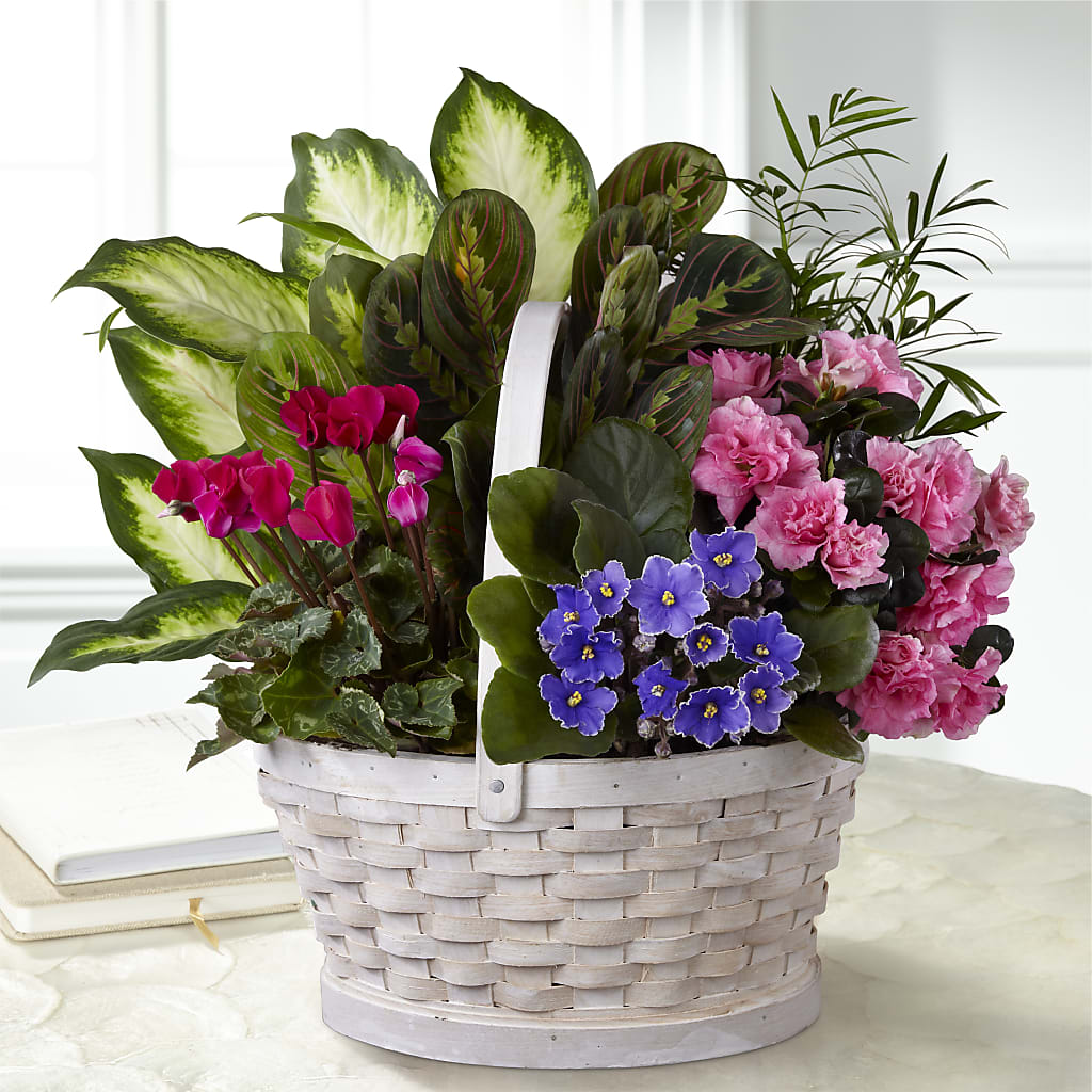 Peaceful Garden Planter – Open Blooms Chantilly, Chantilly VA