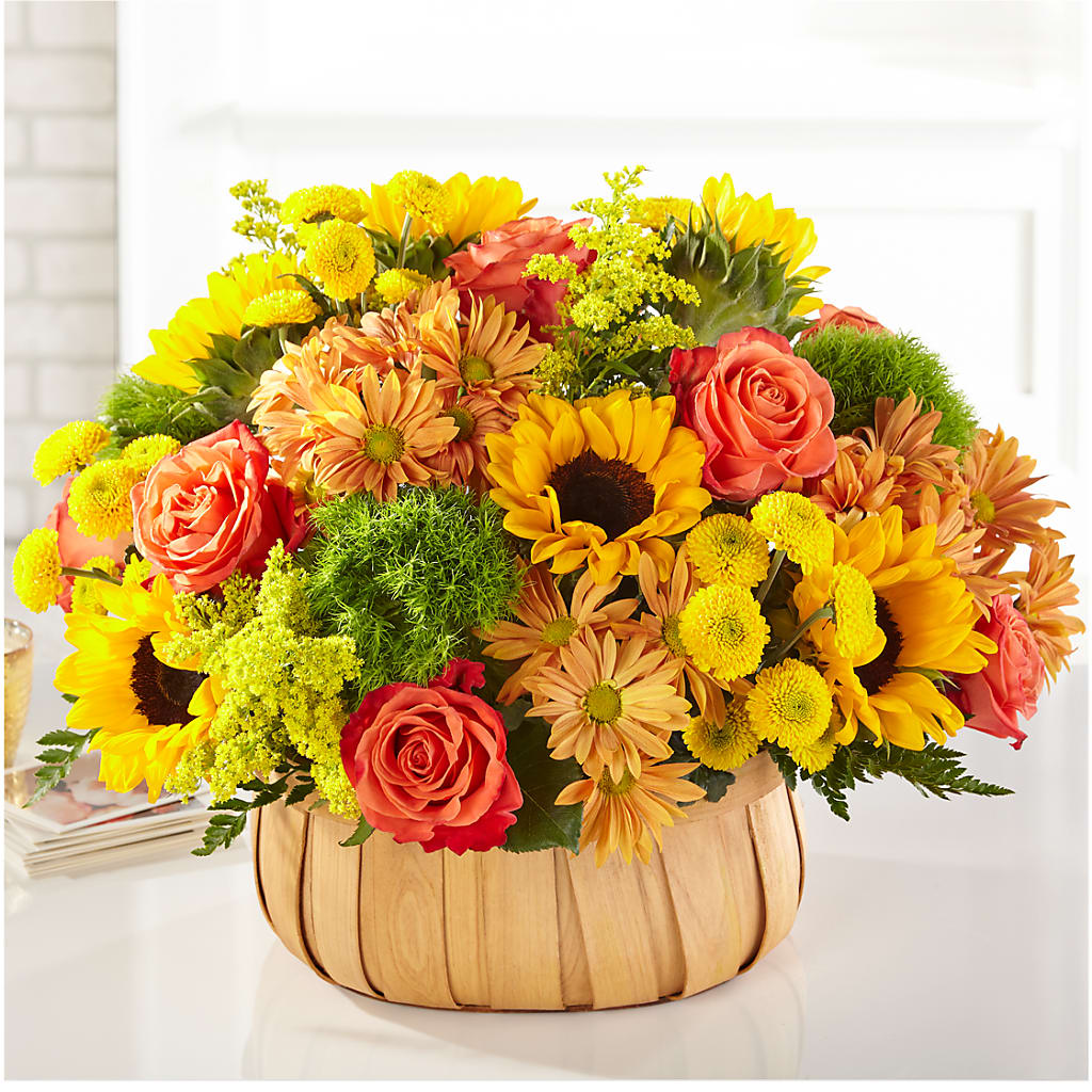 Harvest Sunflower Basket – Open Blooms Chantilly, Chantilly VA
