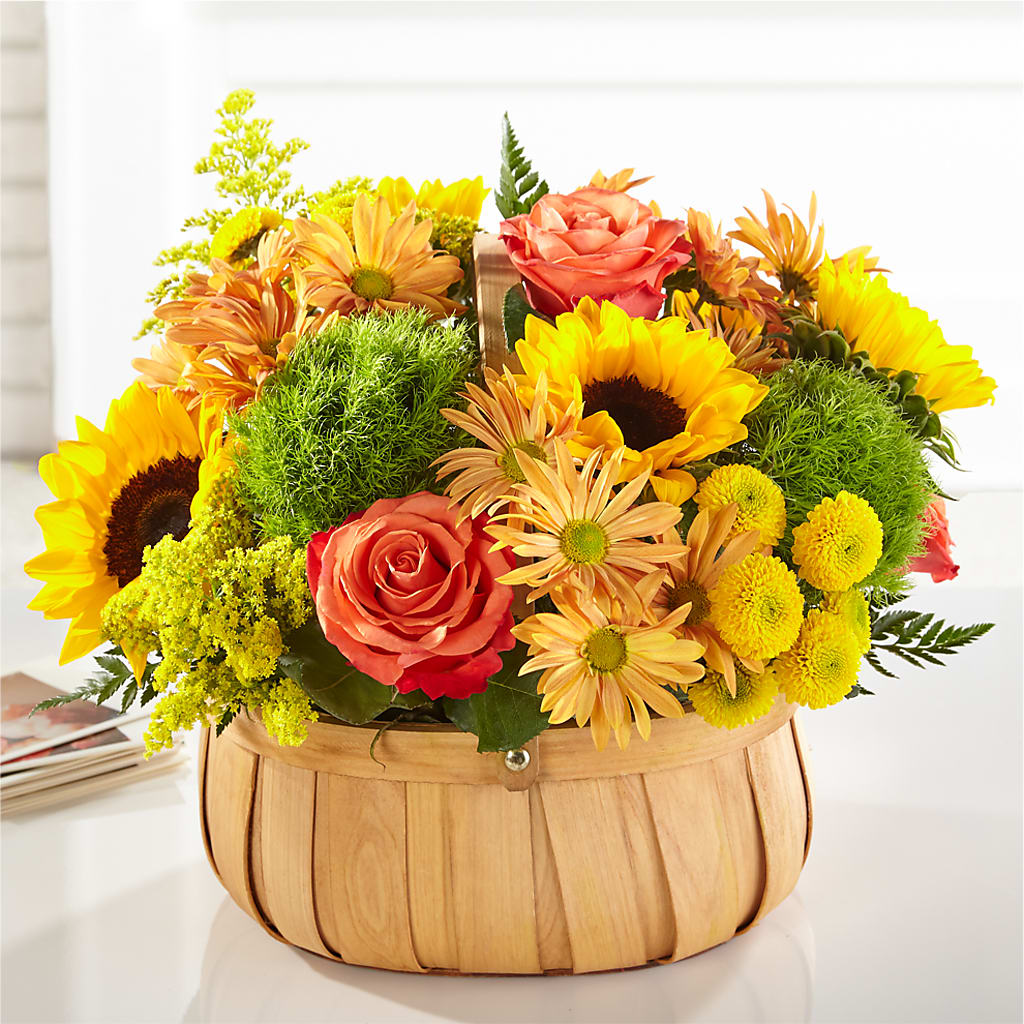 Harvest Sunflower Basket – Open Blooms Chantilly, Chantilly VA
