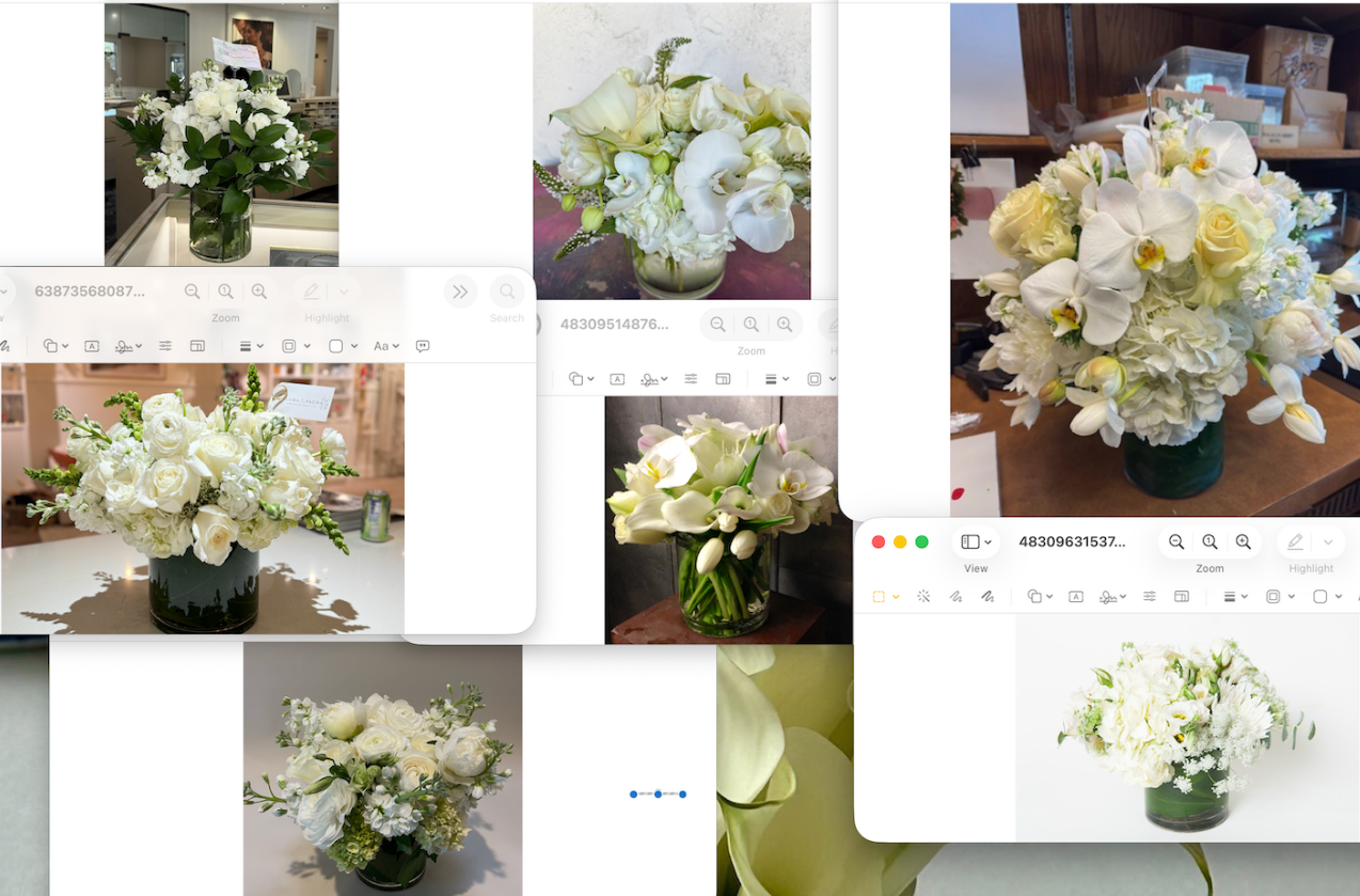 HBLOOM SUB-154465