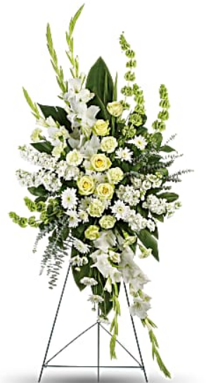 Magnificent Life Spray