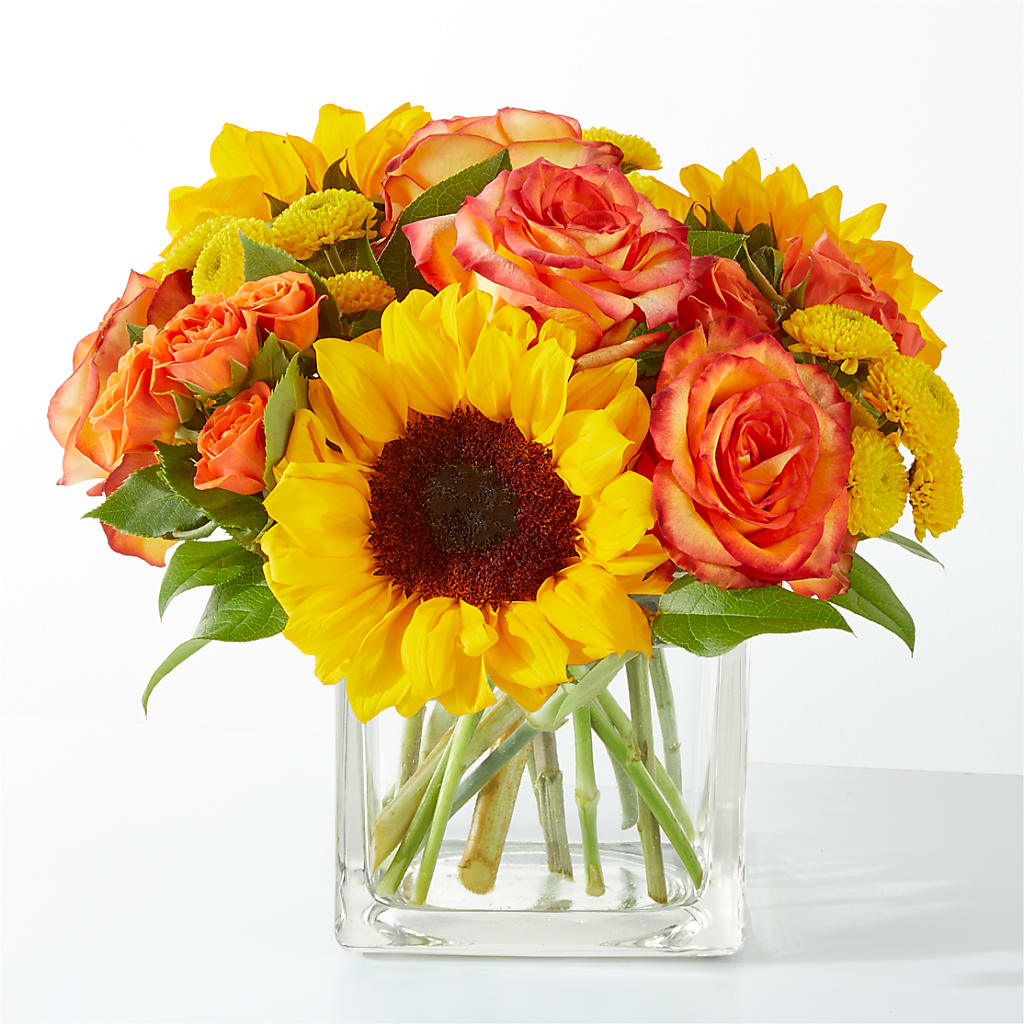 Picnic in the Park Bouquet – Open Blooms Chantilly, Chantilly VA