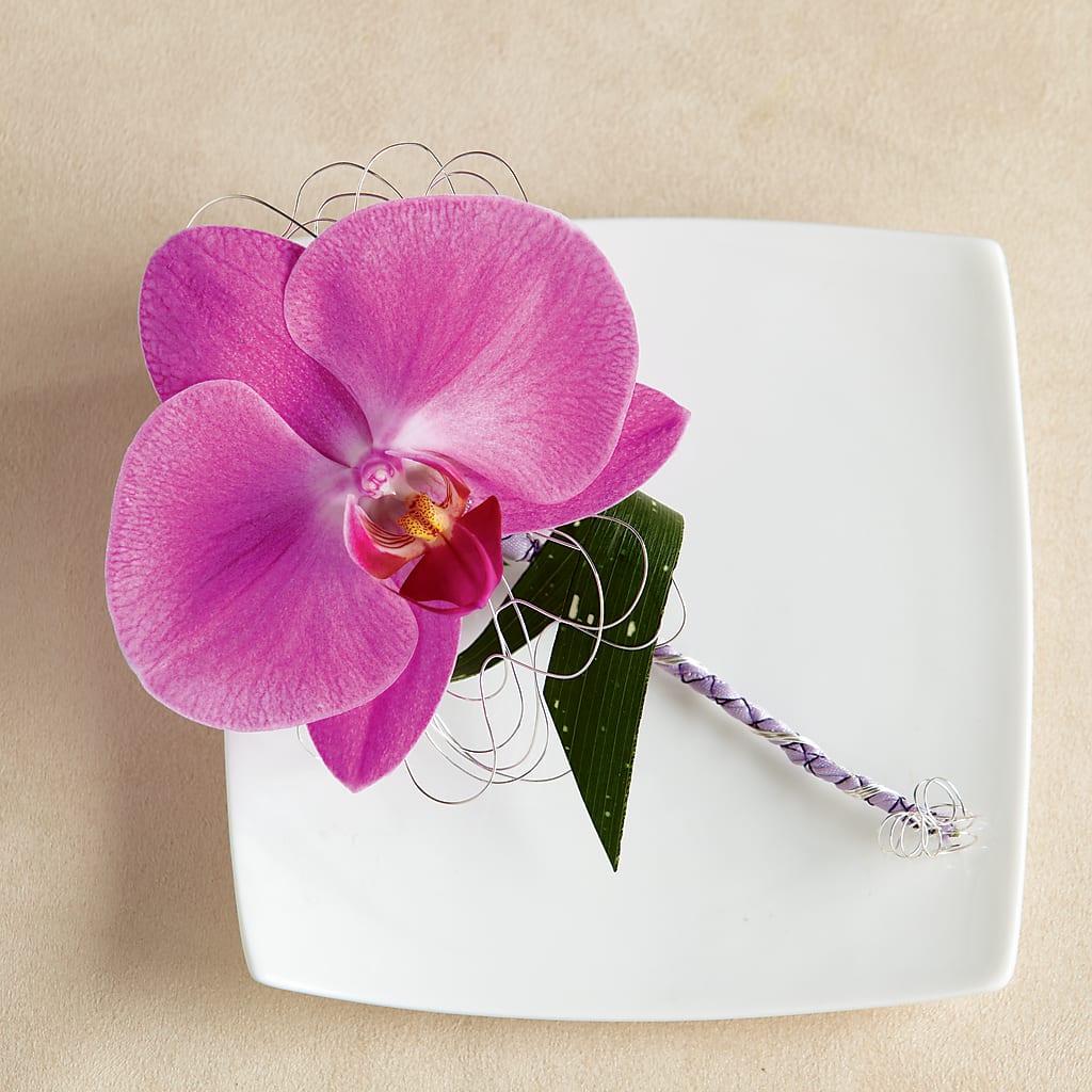 Glorious Boutonniere – Open Blooms Chantilly, Chantilly VA