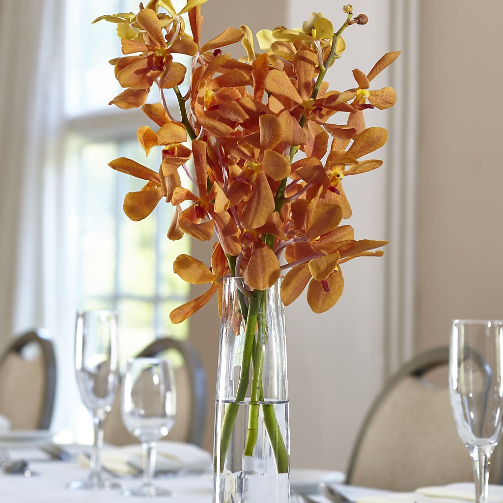 Orange Mokara Bud Vase – Open Blooms Chantilly, Chantilly VA