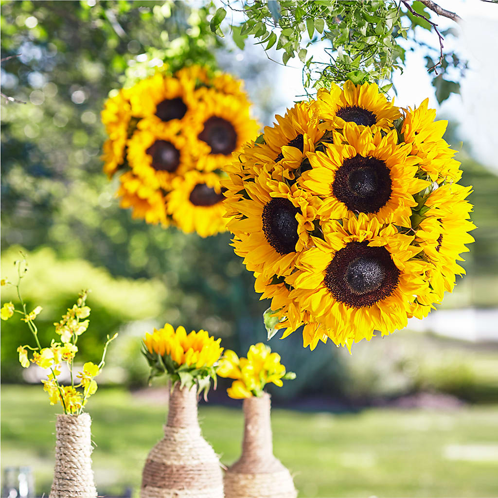 Sublime Garden Hanging Arrangement – Open Blooms Chantilly, Chantilly VA