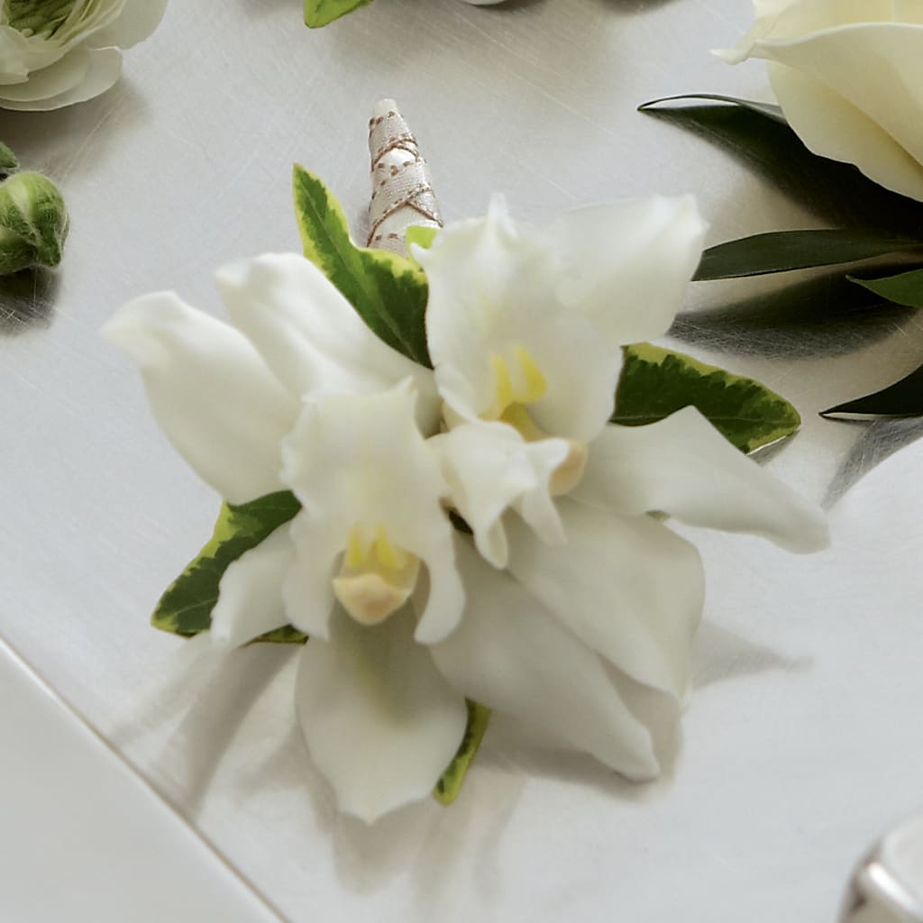 White Mini Cymbidium Boutonniere – Open Blooms Chantilly, Chantilly VA
