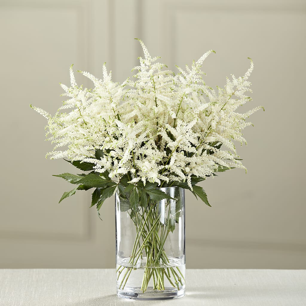 White Astilbe Bouquet – Open Blooms Chantilly, Chantilly VA