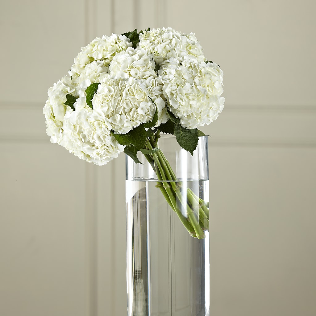 White Hydrangea Hand-Tied Bouquet – Open Blooms Chantilly, Chantilly VA