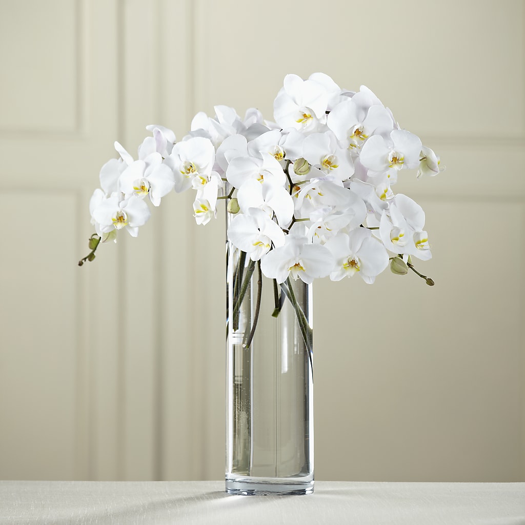 White Phalaenopsis Bouquet – Open Blooms Chantilly, Chantilly VA