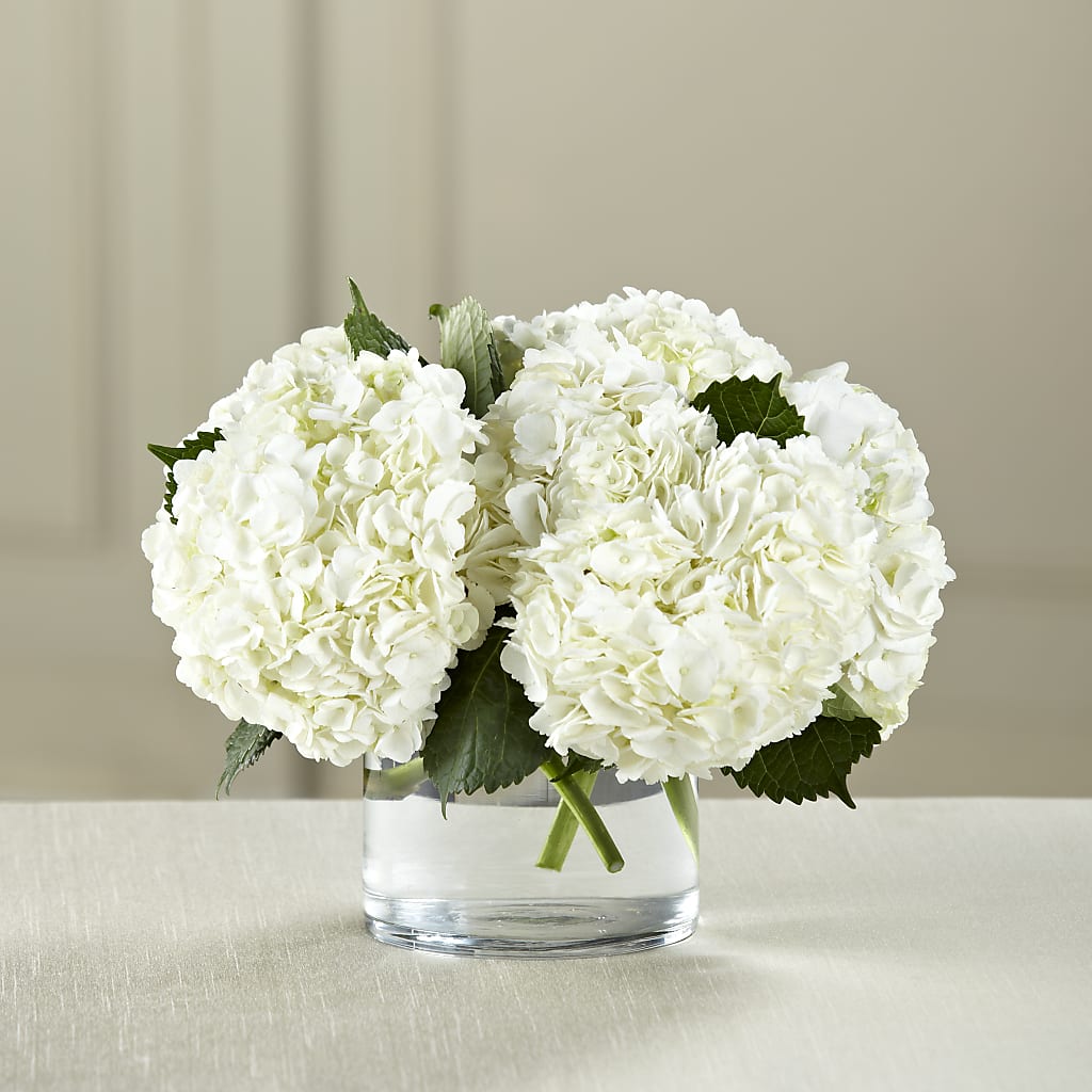 White Hydrangea Bouquet – Open Blooms Chantilly, Chantilly VA