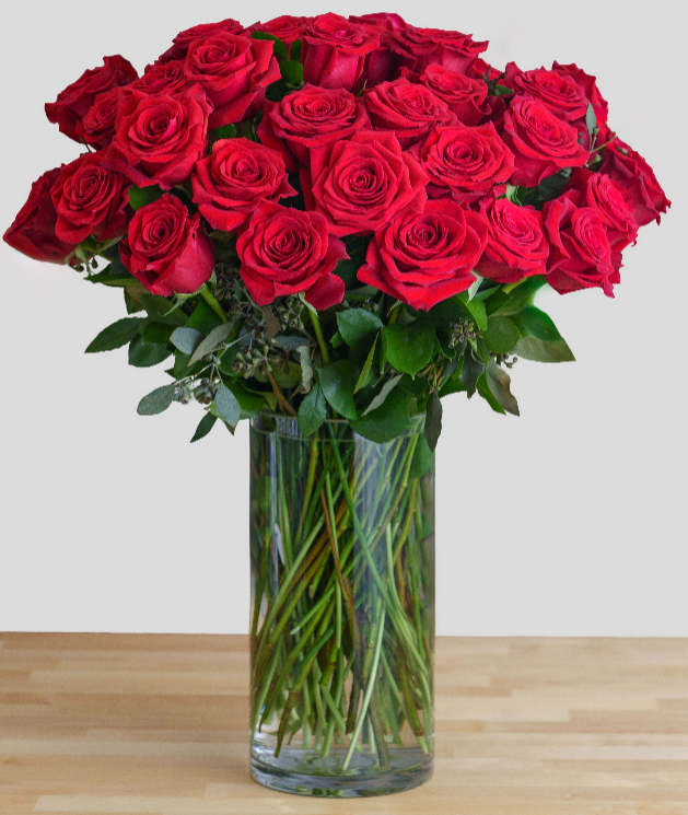 36 Red Roses