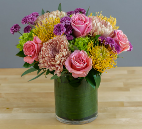 Protea Harvest