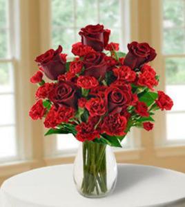 Stunning Red