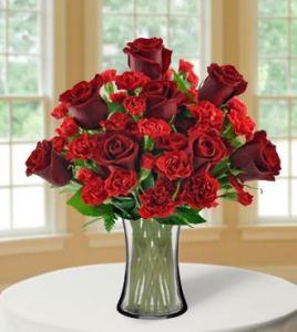 Stunning Red - Greater