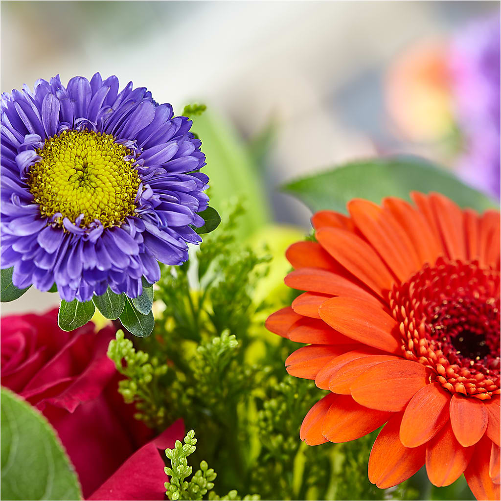 Bold & Bright – A Florist Original –  Open Blooms Chantilly, Chantilly VA