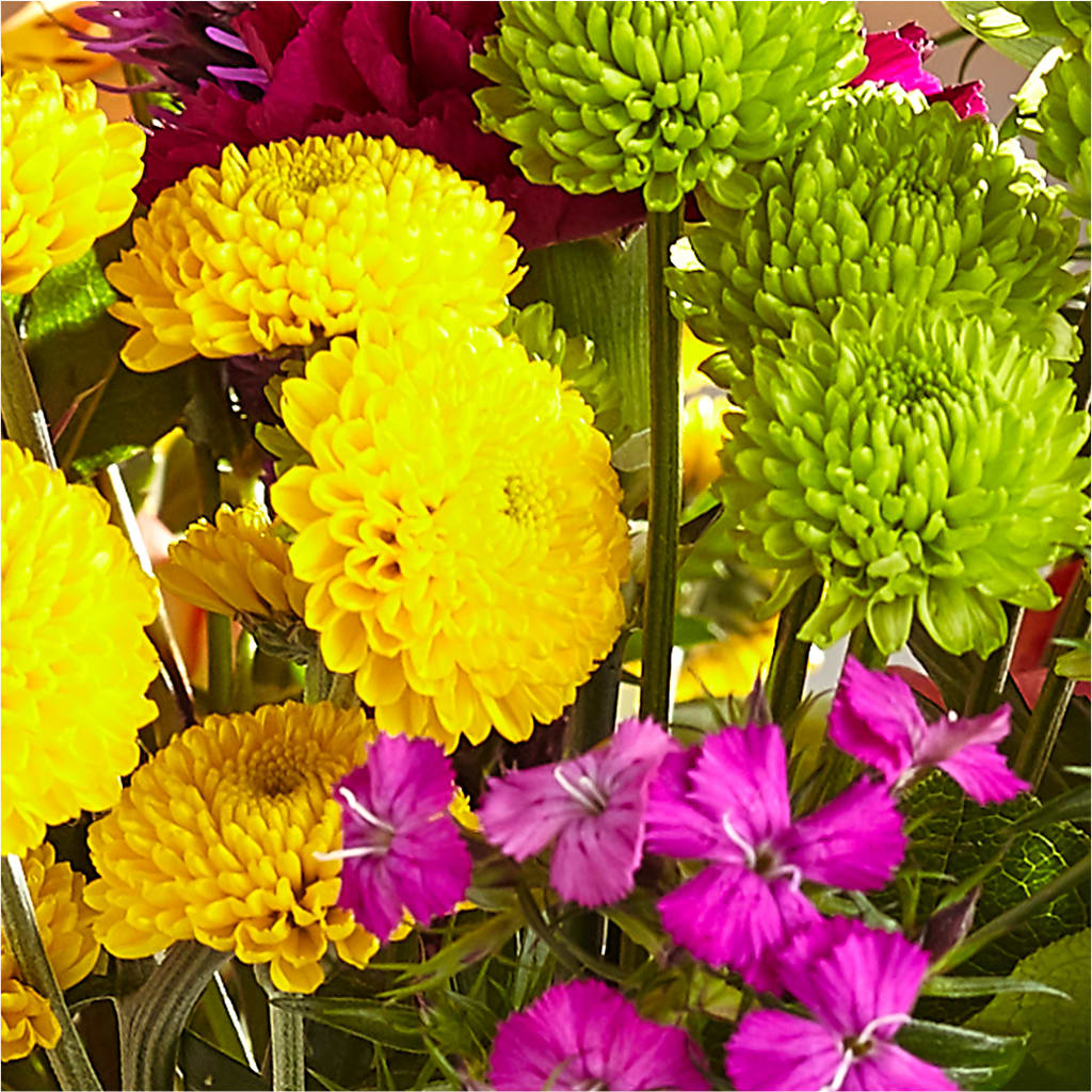 Bold & Bright – A Florist Original –  Open Blooms Chantilly, Chantilly VA