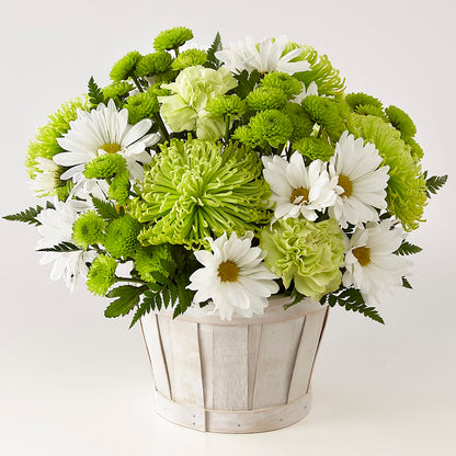 Lucky Charm Basket (Standard) –  Open Blooms Chantilly, Chantilly VA