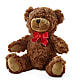 Adorable Plush Bear –  Open Blooms Chantilly, Chantilly VA