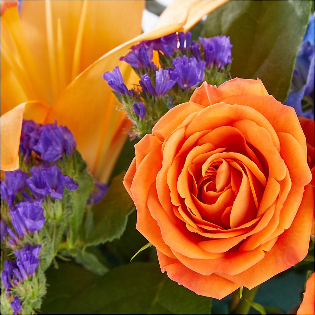 Radiant Citrus Box Bouquet –  Open Blooms Chantilly, Chantilly VA