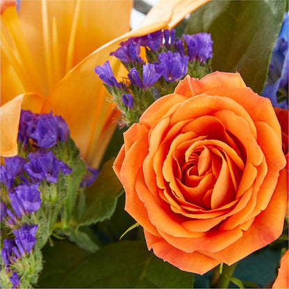 Radiant Citrus Box Bouquet –  Open Blooms Chantilly, Chantilly VA