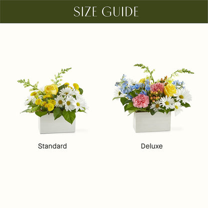 Sun Salutation Box Bouquet –  Open Blooms Chantilly, Chantilly VA