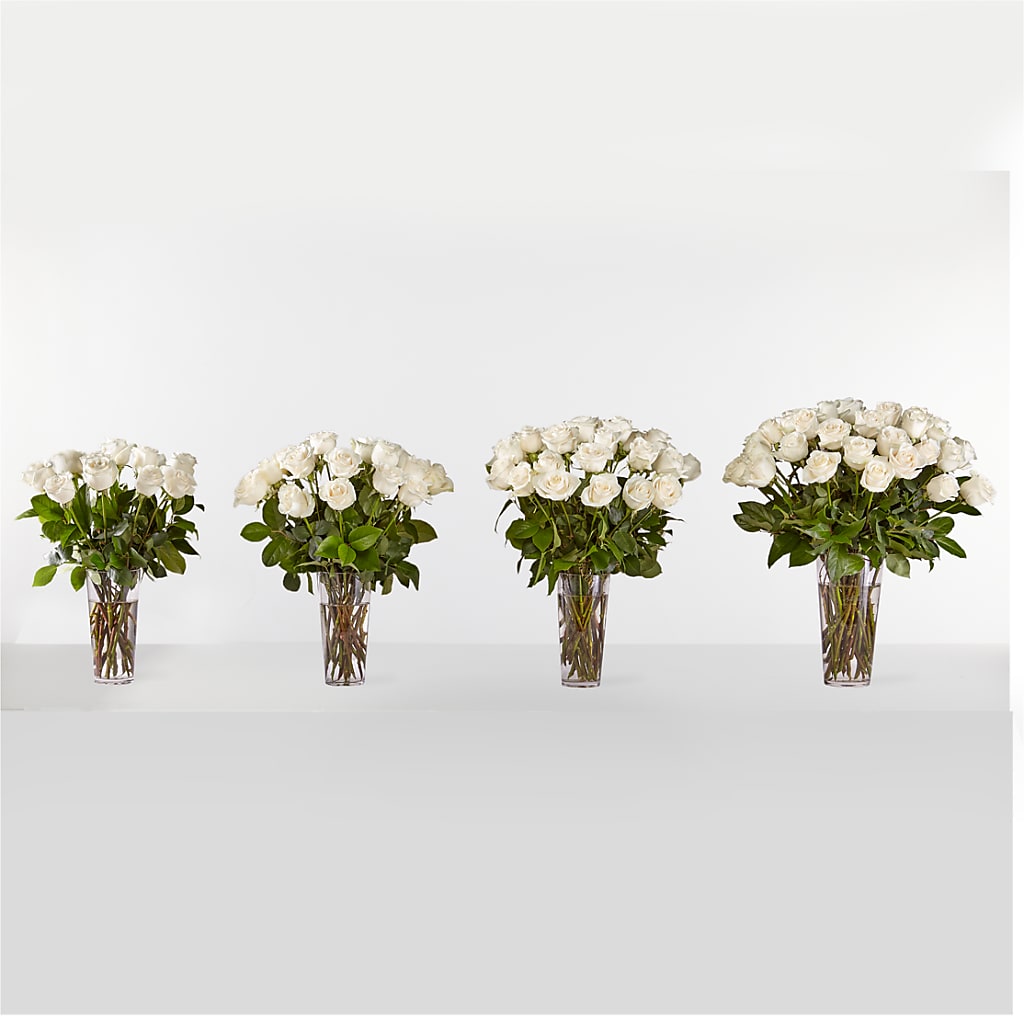 Long Stem White Rose Bouquet –  Open Blooms Chantilly, Chantilly VA
