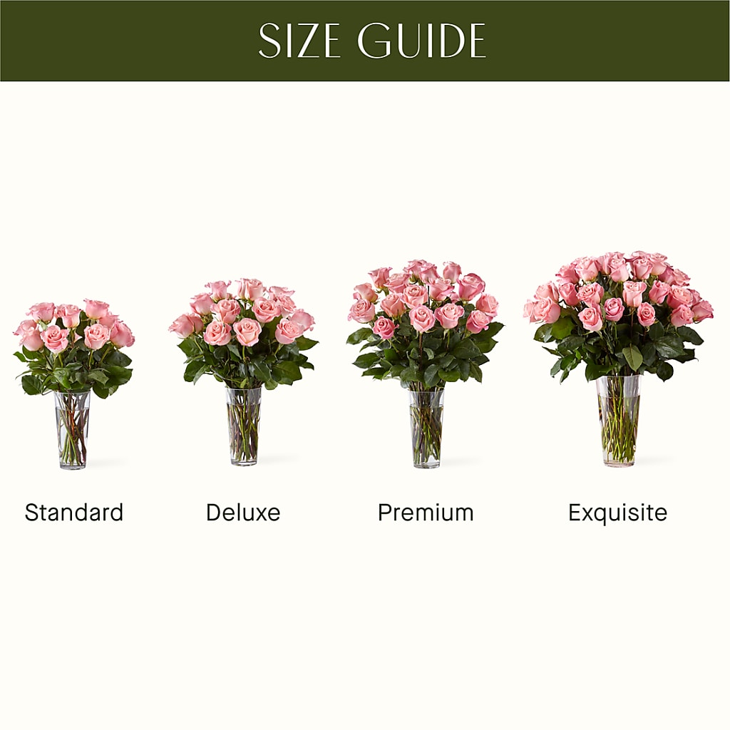 Long Stem Pink Rose Bouquet –  Open Blooms Chantilly, Chantilly VA