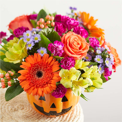 Tricks & Treats Pumpkin –  Open Blooms Chantilly, Chantilly VA