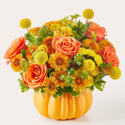 Gourdgeous Pumpkin –  Open Blooms Chantilly, Chantilly VA