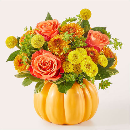Gourdgeous Pumpkin –  Open Blooms Chantilly, Chantilly VA