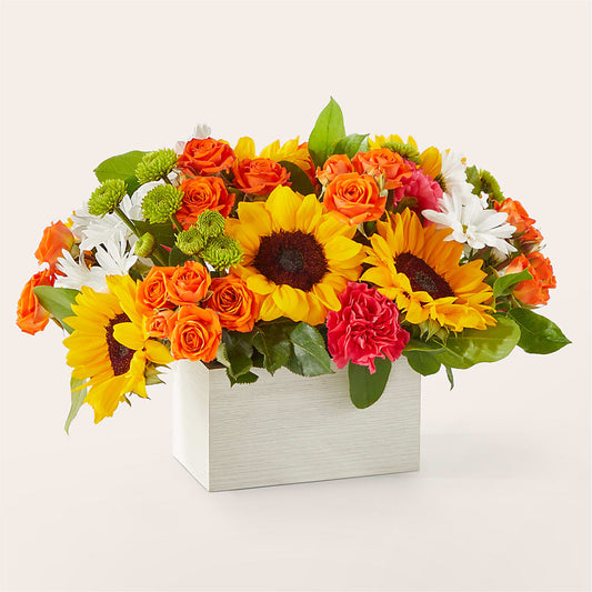 Sun-drenched Blooms Box Bouquet –  Open Blooms Chantilly, Chantilly VA