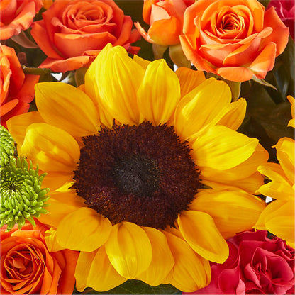 Sun-drenched Blooms Box Bouquet –  Open Blooms Chantilly, Chantilly VA