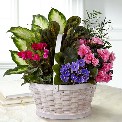 Peaceful Garden Planter –  Open Blooms Chantilly, Chantilly VA
