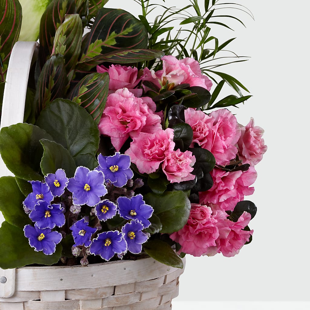 Peaceful Garden Planter –  Open Blooms Chantilly, Chantilly VA