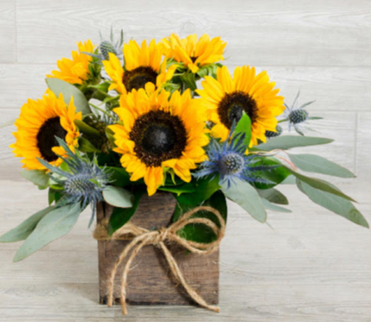 BOX OF SUNSHINE