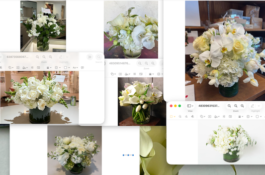 HBLOOM SUB-154465