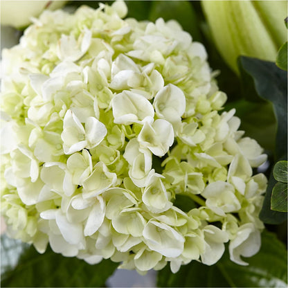 Classic Ivory – A Florist Original –  Open Blooms Chantilly, Chantilly VA