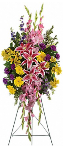 Rainbow Of Remembrance Spray