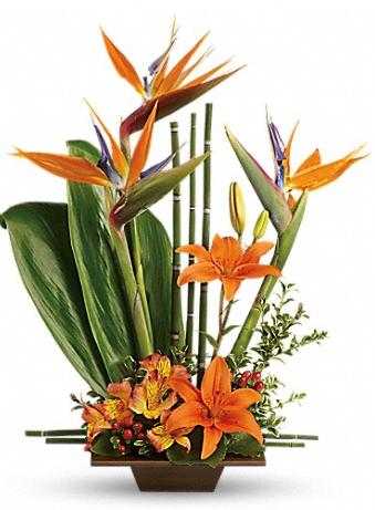 Teleflora's Exotic Grace DX –  Open Blooms Chantilly, Chantilly VA