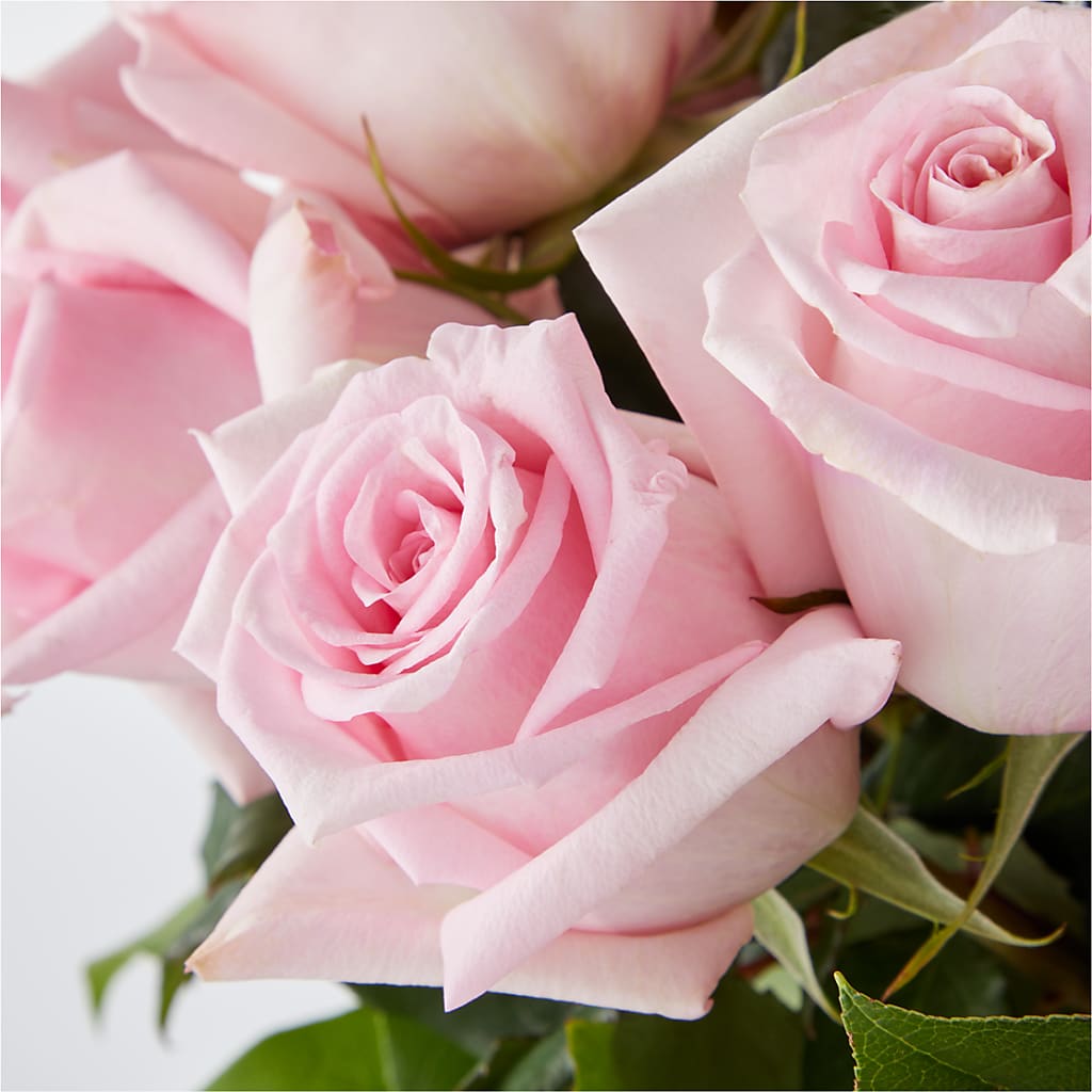 Picture Perfect Pink Rose Bouquet –  Open Blooms Chantilly, Chantilly VA